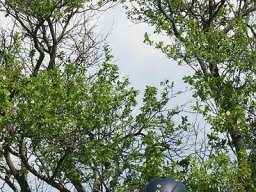 img-99901-630